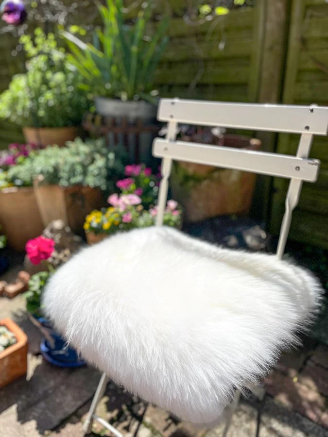 Weißes Schaffell auf einem Gartenstuhl inmitten von Blumen